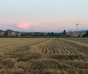 Settore Edile