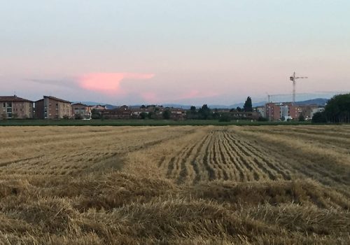 Settore Edile